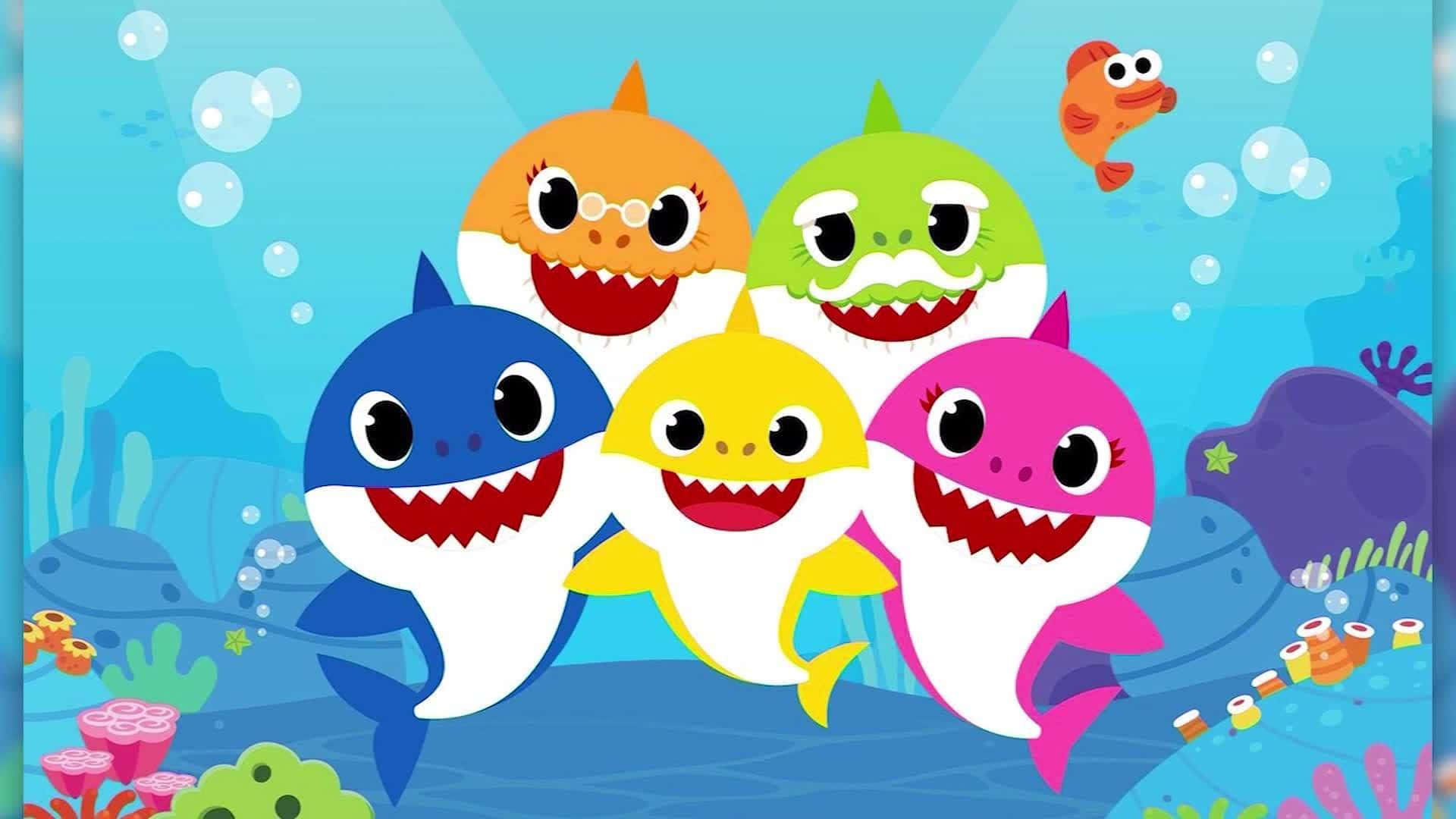 Baby Shark